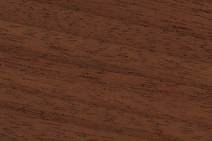 African Mahogany