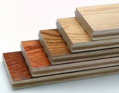 solid woods